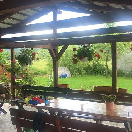 Casa Albert Valea Avrigului エクステリア 写真