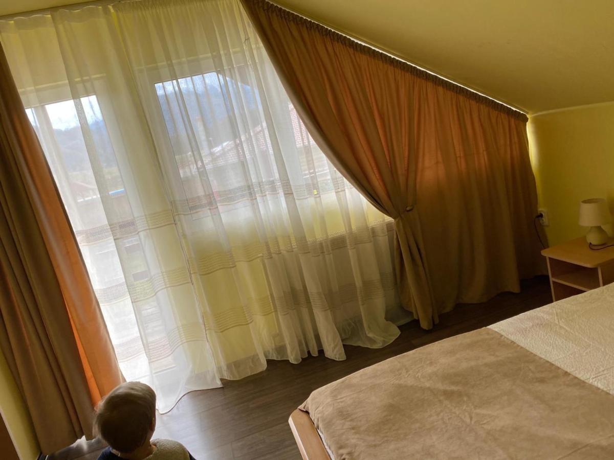 Casa Albert Valea Avrigului エクステリア 写真