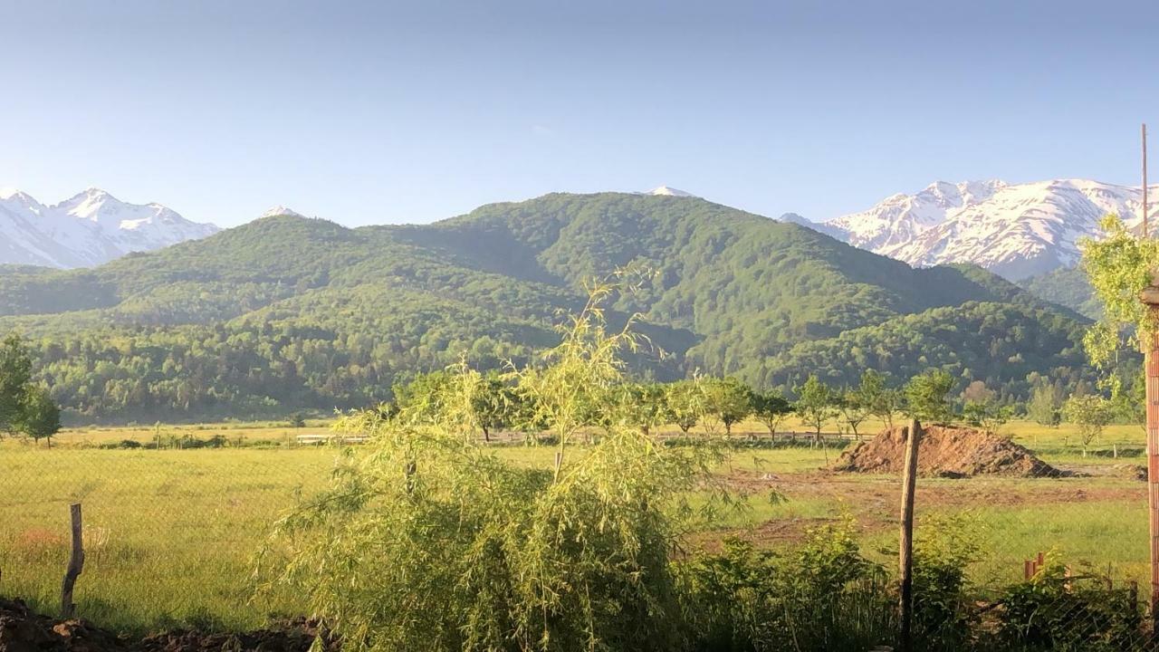 Casa Albert Valea Avrigului エクステリア 写真