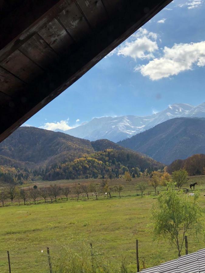 Casa Albert Valea Avrigului エクステリア 写真