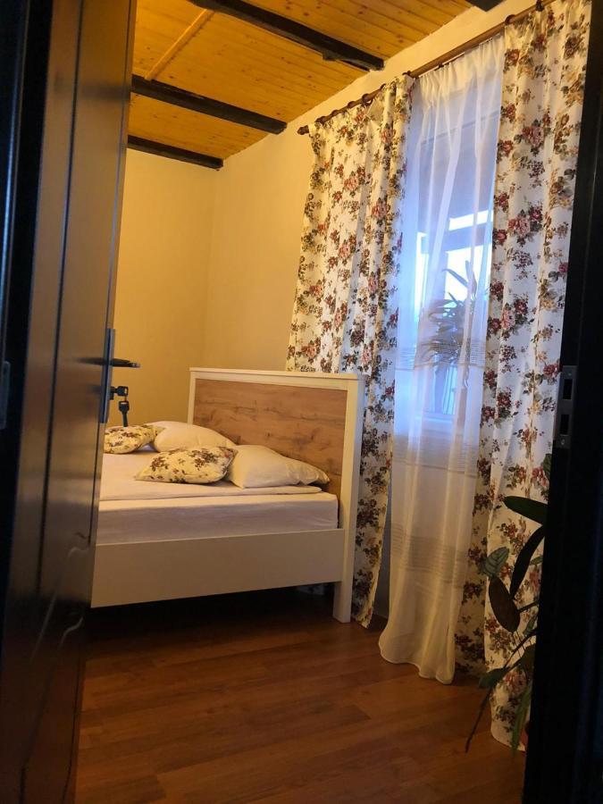 Casa Albert Valea Avrigului エクステリア 写真