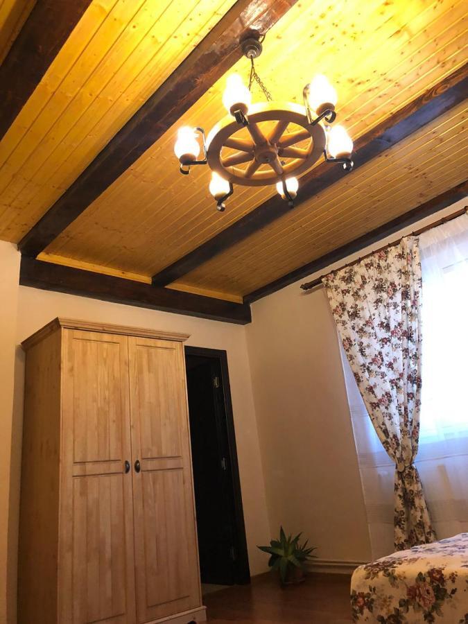 Casa Albert Valea Avrigului エクステリア 写真