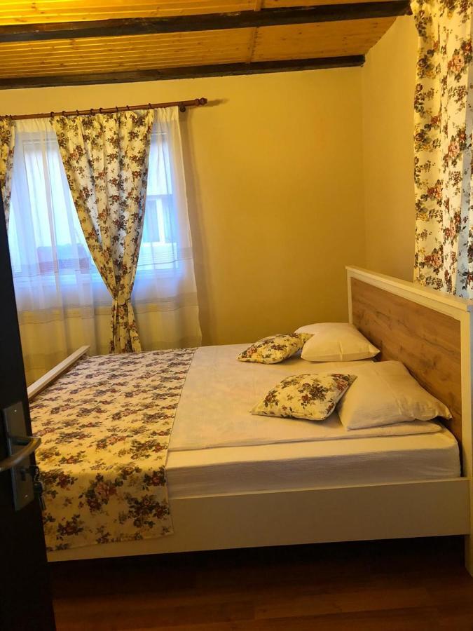 Casa Albert Valea Avrigului エクステリア 写真