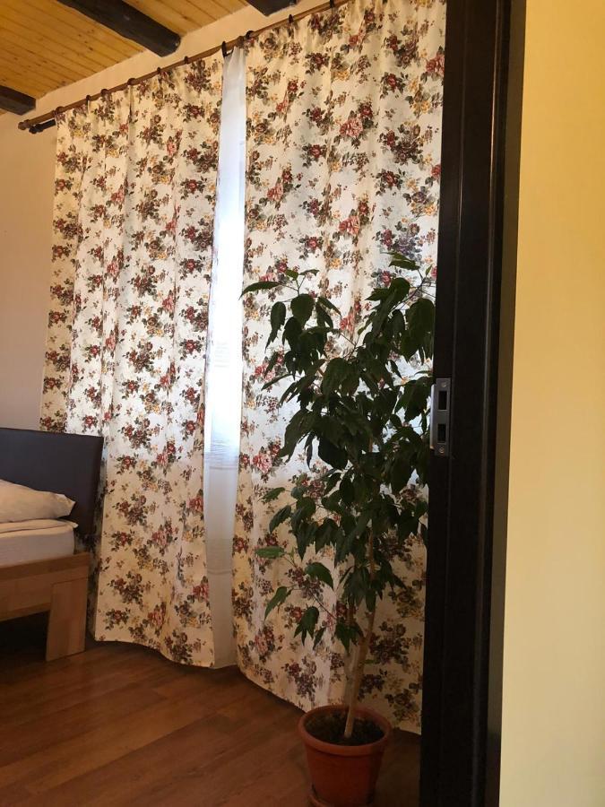 Casa Albert Valea Avrigului エクステリア 写真